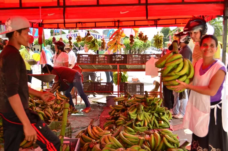 Campesinos de Arauca, venden directamente sus productos en la plazoleta de la alcaldía municipal.